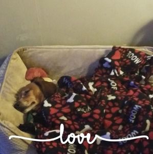 Meet your Posher, Bonnie